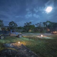 Отель Wild Trails Yala Tented Safari Camp фото 7