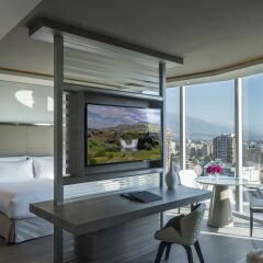 ICON Hotel in Santiago, Chile from 123$, photos, reviews - zenhotels.com guestroom photo 5