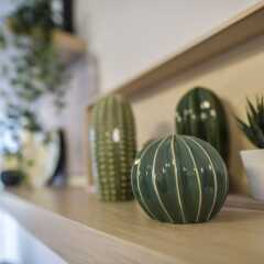 Апартаменты 3 Bedroom Garden Apartment Тель-Авив спа