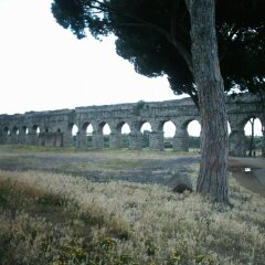 Отель Bella Roma Domus