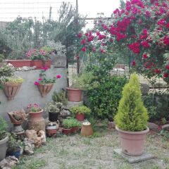 Отель Angolo Felice Матера фото 3