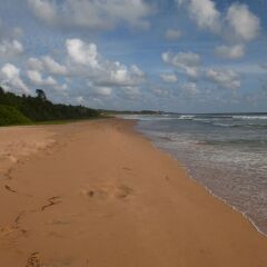 Отель Amal Beach Бентота пляж