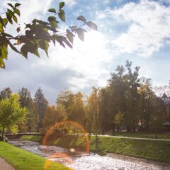 Отель Aqua Aurelia Suitenhotel Германия, Баден-Баден - 1 отзыв об отеле, цены и фото номеров - забронировать отель Aqua Aurelia Suitenhotel онлайн бассейн фото 3