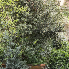 Отель Best Venice Apartments Santa Croce Италия, Венеция - отзывы, цены и фото номеров - забронировать отель Best Venice Apartments Santa Croce онлайн фото 30