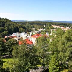 Отель Esplanade Spa And Golf Resort Марианске-Лазне фото 6
