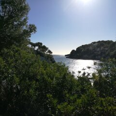 Cala Ferrera Hotel фото 3