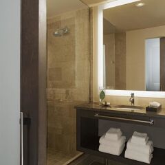 Hyatt At Olive 8 in Seattle, United States of America from 307$, photos, reviews - zenhotels.com bathroom photo 3