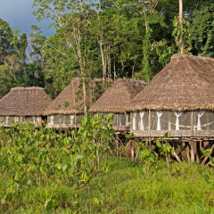 Отель Kapawi Ecolodge & Reserve фото 4