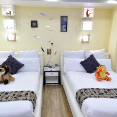 Отель Royal Penguin Boutique Hotel Непал, Катманду - отзывы, цены и фото номеров - забронировать отель Royal Penguin Boutique Hotel онлайн с домашними животными