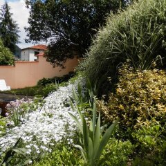 Отель Guest House Zora Болгария, Цар-Симеоново - отзывы, цены и фото номеров - забронировать отель Guest House Zora онлайн фото 23