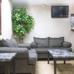 Отель Econo Lodge Saint Louis США, Сент-Луис - отзывы, цены и фото номеров - забронировать отель Econo Lodge Saint Louis онлайн комната для гостей фото 4