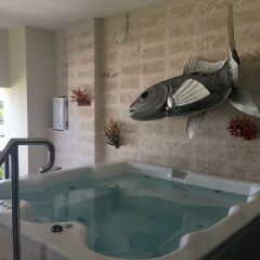 Отель Luxury Cap Cana Apartment Доминикана, Пунта Кана - отзывы, цены и фото номеров - забронировать отель Luxury Cap Cana Apartment онлайн бассейн