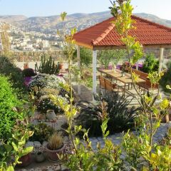 Отель Petra Bed & Breakfast Иордания, Вади-Муса - отзывы, цены и фото номеров - забронировать отель Petra Bed & Breakfast онлайн фото 10