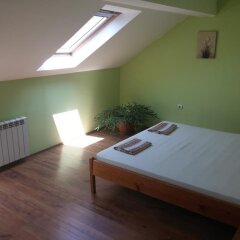 Отель Plovdiv Guesthouse Болгария, Пловдив - отзывы, цены и фото номеров - забронировать отель Plovdiv Guesthouse онлайн комната для гостей фото 5