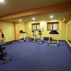 Отель Nairi SPA Resorts Армения, Анкаван - отзывы, цены и фото номеров - забронировать отель Nairi SPA Resorts онлайн фитнесс-зал фото 2