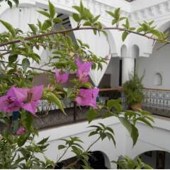 Отель Riad Ailen Марракеш фото 6