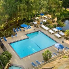 Отель Hilton Bellevue бассейн фото 3