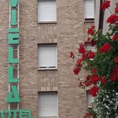 Hotel Viella с домашними животными