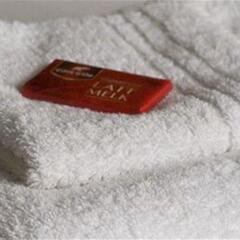 Отель Arthur Bed And Breakfast Бельгия, Дентергем - отзывы, цены и фото номеров - забронировать отель Arthur Bed And Breakfast онлайн ванная