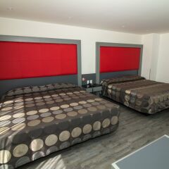 Hotel Atenas Plaza Мехико помещение для мероприятий