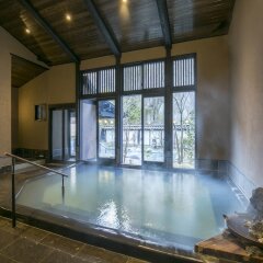 Отель Kurokawaso Минамиогуни бассейн фото 2