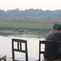 Отель Jungle Wildlife Camp Непал, Саураха - отзывы, цены и фото номеров - забронировать отель Jungle Wildlife Camp онлайн приотельная территория фото 2