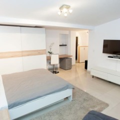 Апартаменты Studio Apartament Centrum Katowice комната для гостей фото 3
