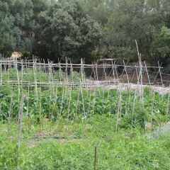 Отель Finca Son Samà детские мероприятия
