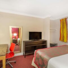 Отель Ramada by Wyndham Miami Springs/Miami International Airport США, Майами-Спрингс - отзывы, цены и фото номеров - забронировать отель Ramada by Wyndham Miami Springs/Miami International Airport онлайн комната для гостей фото 4