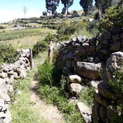 Отель Titicaca Lodge - Isla Amantani Перу, Тилилака - отзывы, цены и фото номеров - забронировать отель Titicaca Lodge - Isla Amantani онлайн