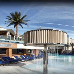 Отель The Cosmopolitan of Las Vegas с домашними животными