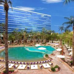 Hard Rock Hotel And Casino Лас-Вегас бассейн фото 2