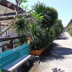 Отель Lareena Resort Koh Larn Pattaya Таиланд, Ко-Лан - отзывы, цены и фото номеров - забронировать отель Lareena Resort Koh Larn Pattaya онлайн бассейн