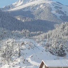 Отель Bansko Castle Lodge Банско фото 4