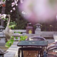 Отель Tang Dynasty Art Garden Hotel Китай, Сиань - отзывы, цены и фото номеров - забронировать отель Tang Dynasty Art Garden Hotel онлайн фото 6
