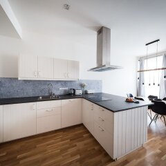 Апартаменты Boris' apartments City centre parks Прага в номере фото 2