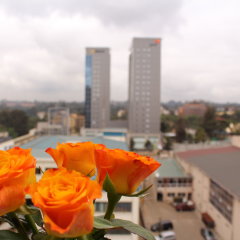 Hotel Emerald in Nairobi, Kenya from 148$, photos, reviews - zenhotels.com balcony