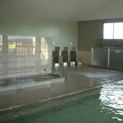 Nakagawa Onsen Hotel Arai Насусиобара бассейн