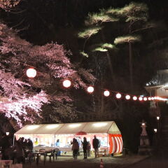 Hotel Harvest Kinugawa Никко развлечения