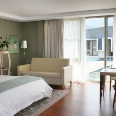 Vineyard Hotel комната для гостей фото 4