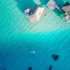 Отель Le Taha'a Island Resort & Spa пляж