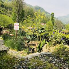 Отель Tabiat Bungalows Чамлыхемшин фото 15