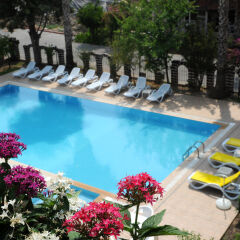 Ilimyra Hotel с домашними животными