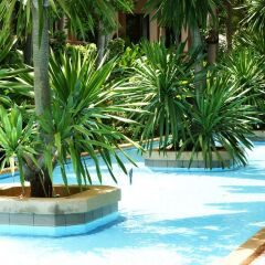 Отель Botany Beach Resort детские мероприятия