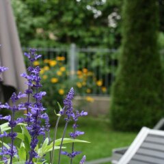 Отель Villa Solln Германия, Мюнхен - отзывы, цены и фото номеров - забронировать отель Villa Solln онлайн фото 8