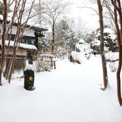 Отель Ryokan Aso no Shiki Минамиогуни фото 3