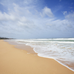 Отель Centara Ceysands Resort & Spa Sri Lanka Шри-Ланка, Бентота - 1 отзыв об отеле, цены и фото номеров - забронировать отель Centara Ceysands Resort & Spa Sri Lanka онлайн пляж