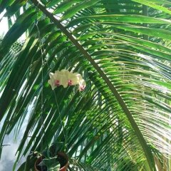 Отель Gia Bao Phat Homestay фото 17