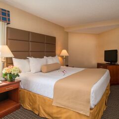 Отель Best Western Plus Chateau Granville Hotel & Suites Канада, Ванкувер - отзывы, цены и фото номеров - забронировать отель Best Western Plus Chateau Granville Hotel & Suites онлайн комната для гостей фото 2