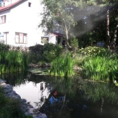 Pensiunea Moara Viselor in Horezu, Romania from 69$, photos, reviews - zenhotels.com outdoors